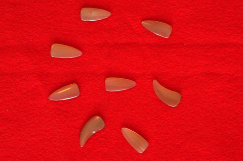PROFESSIONAL OX HORN GUZHENG FINGER PICK - 專業古箏牛角指甲