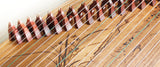 Instrument Lesson